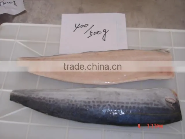 Pacific ocean frozen spanish mackerel