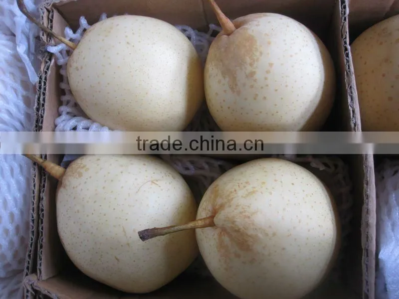 fresh white Ya pear