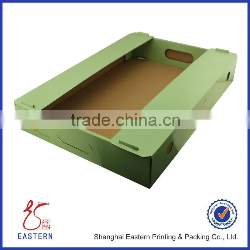 Apple fruit packaging boxes