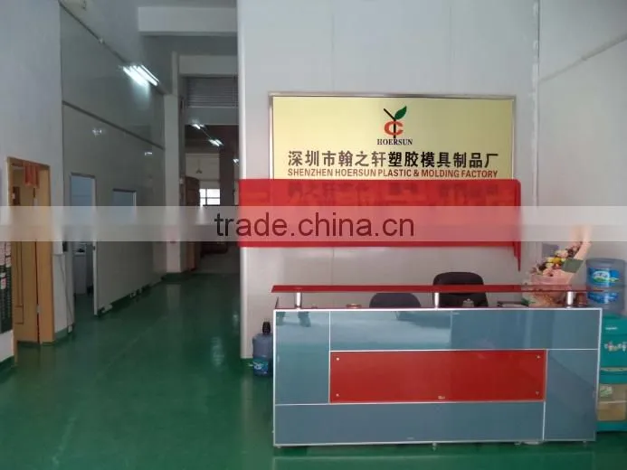 Shenzhen Hoersun Plastics & Molding Factory company overview - view 2