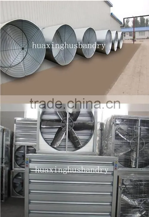 chicken broiler /cock cage with automatic poultry equipment