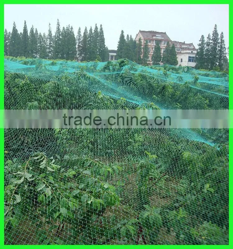 Clear anti bird hail cover net/uv resistance woven mesh net/reinforced hail guard net