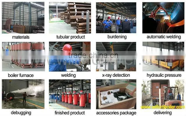 LSS Oil(Gas) Steam Generator