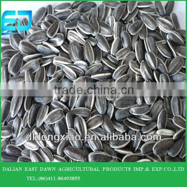 Chinese White Sunflower Seeds With High Quality