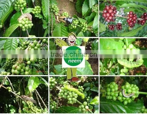 Organic Fertilizer Neem Cake Flakes
