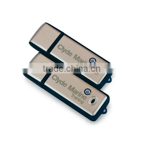 Full Capacity FreeSample USB Flash Disk Logo Printing