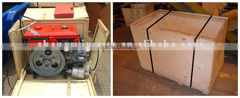 China Whosale and Best Price Farm Hand Tractor /Walking Tractor for Sale