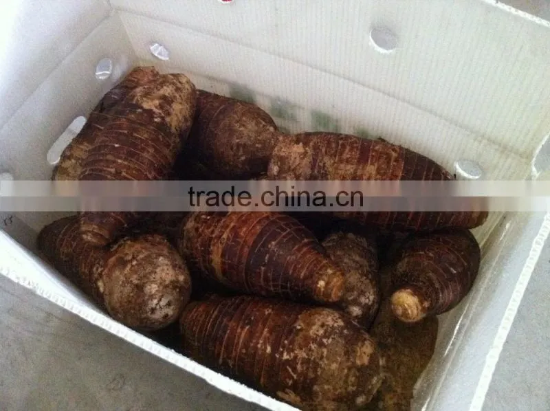 Fresh Chinese Taro for sale