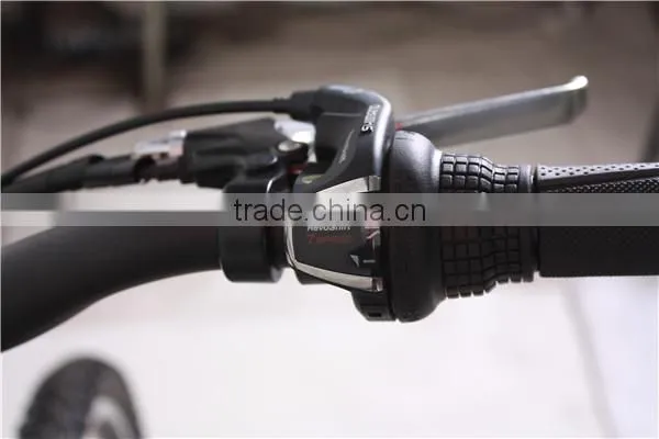 PAS pedal assistance mountain electric bike for sale(TDE15Z)