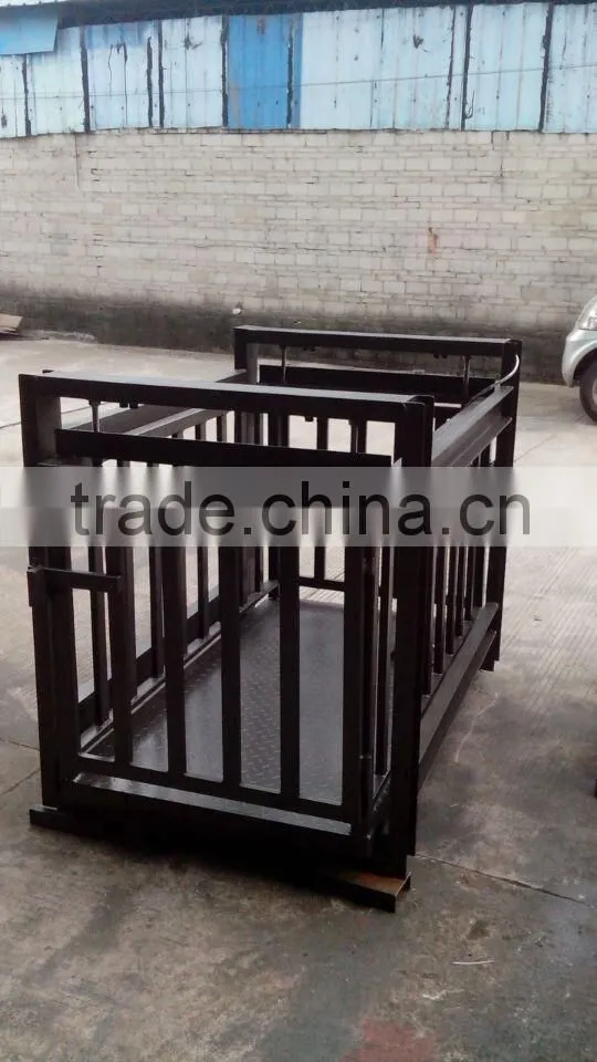 cattle scale