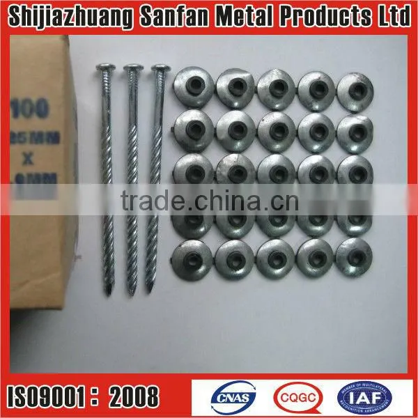 Galvanized Roofing nails