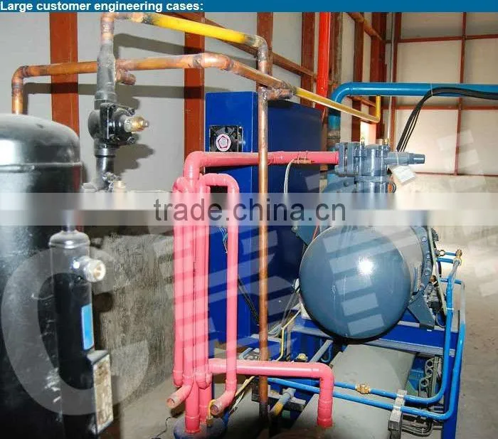 Industrial Ice Block Making Machine (100tons Freon)