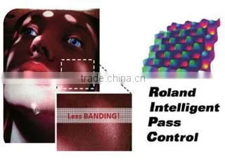 Roland Modified UV-640 High Precision LED UV Inkjet Printer, Large Format Printer