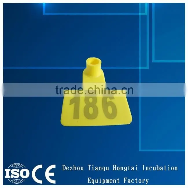 yellow ear tag