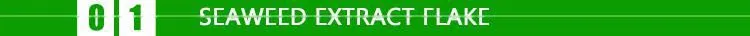 seaweed extract organic powder /flake fertilizer