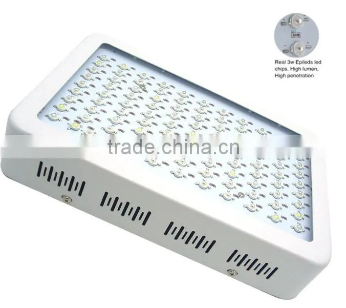 Wholesale Red Yellow Spectrum Mini 300W Hydroponic Grow Light