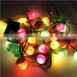 New product special design outdoor christmas led string light from China