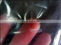 washed denim shorts/garment washing inspection in China