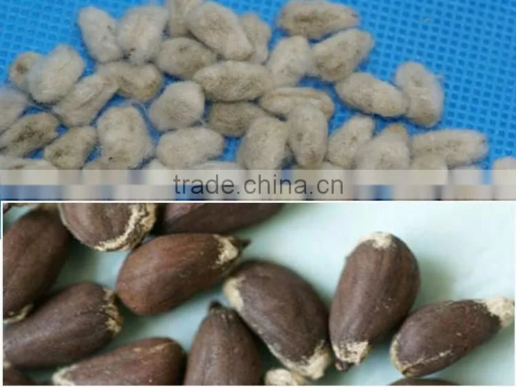 Cotton seed delinter machine / cotton seed delinting machine / cotton seed removing machine
