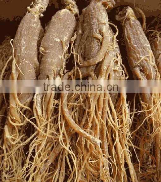 red ginseng dry root changbai korea ginseng price