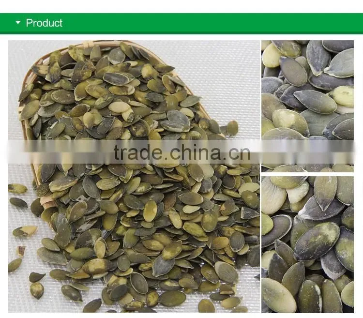 Sell Shine Skin Pumpkin Seeds Kernels and GWS pumpkin seeds Kernels and GWS pumpkin seeds
