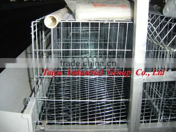 Ladder type poultry cage (Export standard battery cage system, Anti-corrosive)