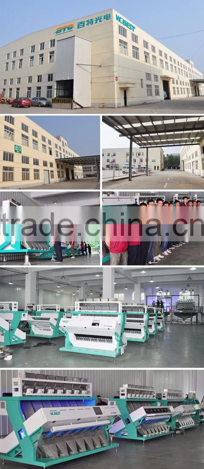 dehydrated vegetables color sorting machine with high accuracy/Fruit Sorting Machine From Hefei