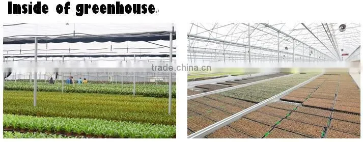 Plastic green houses for agriculture