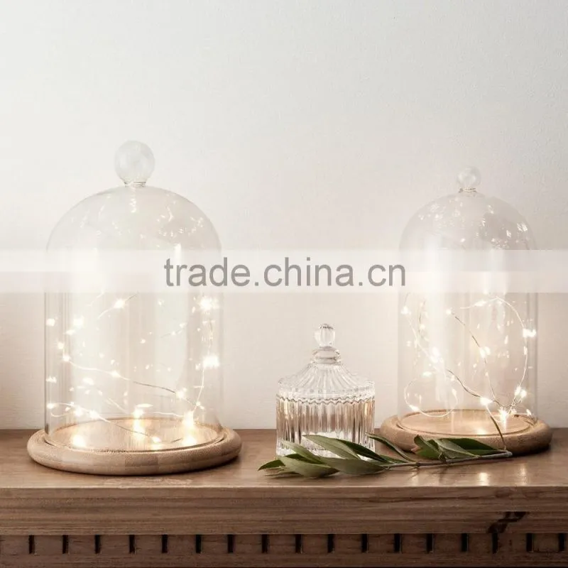 button battery operated fairy lights