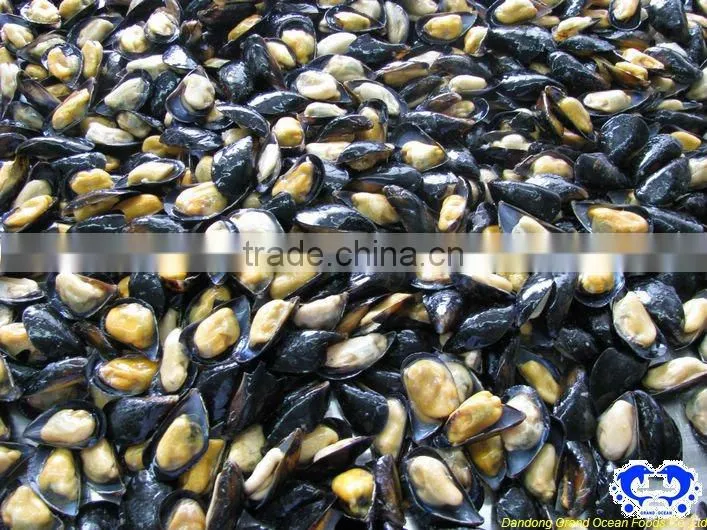 seafood frozen blue mussel meat with half shell