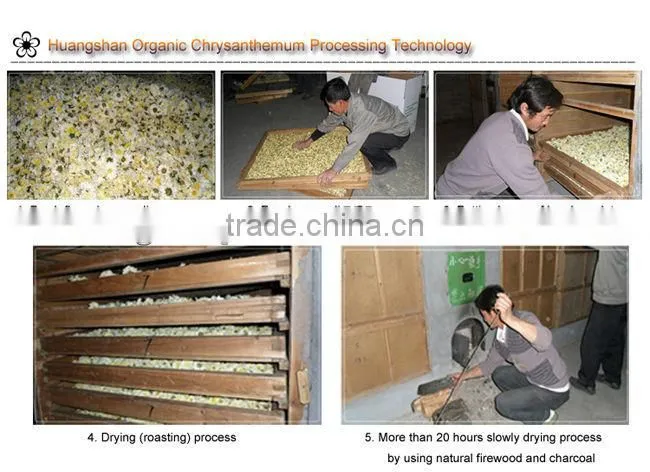 Herbal tea, Organic Chrysanthemum tea, Flower tea