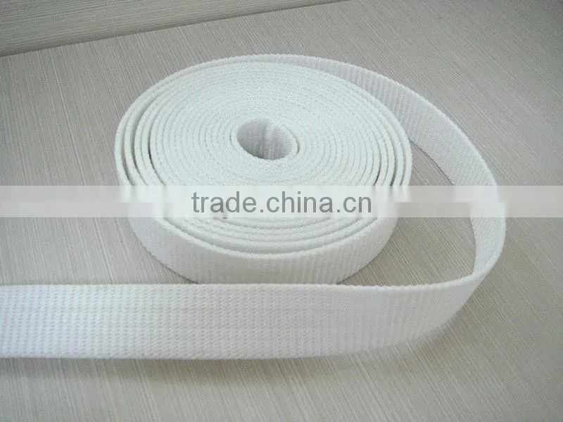 PP Nyon Webbing Leashes
