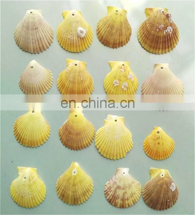 DIY natural seashell color style charm shell accessories for jewelry finding