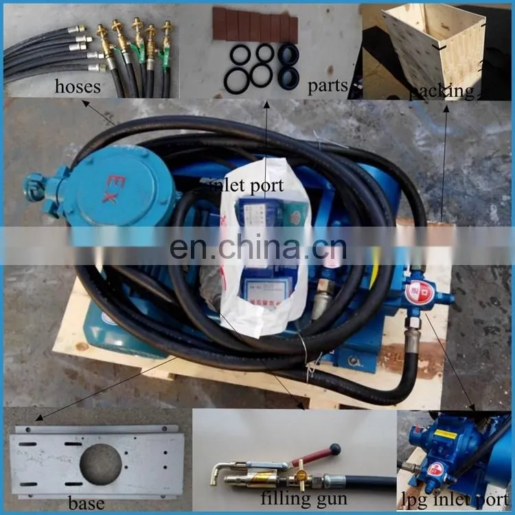 liquid gas transfer pump for lpg filling station, lpg transfer pump, 110v/220v/380v lpg pump,