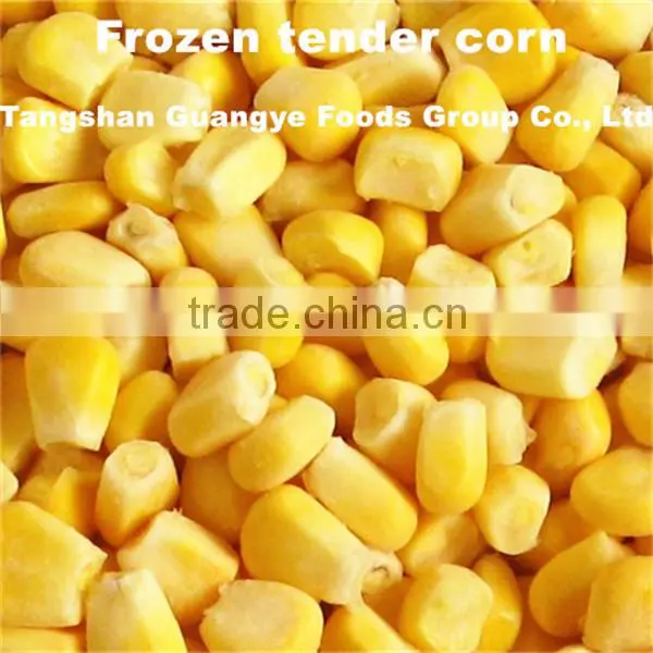 iqf frozen vegetable fresh broccoli