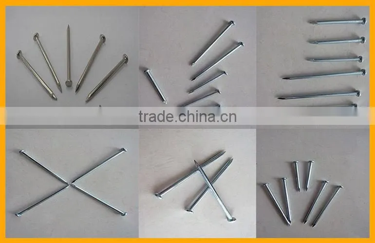 Galvanized Concrete Nails Manufacturers India