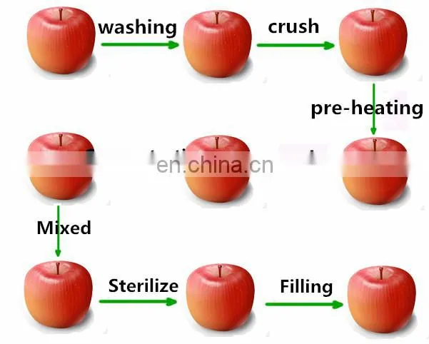 Small capacity Hawthorn juice/fresh fruit juice production line /plant /processing line /equipment