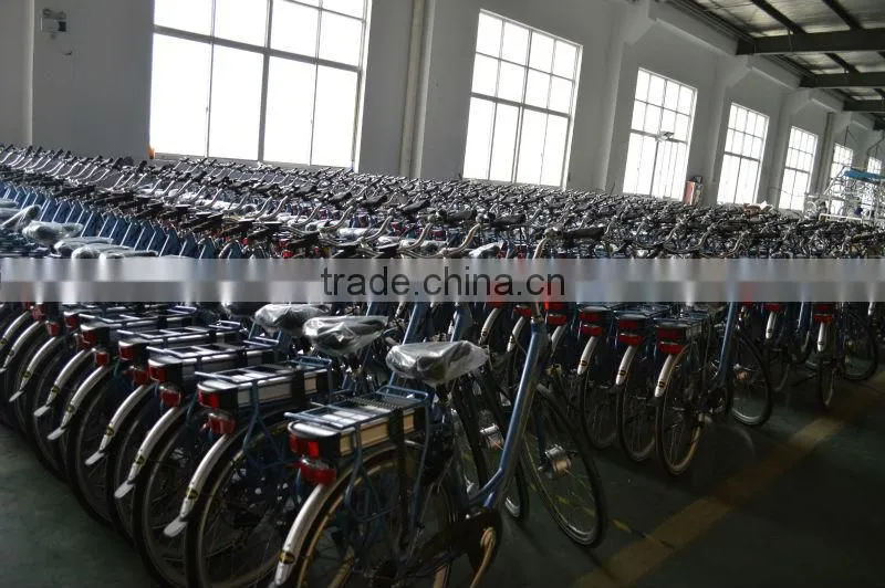 Electric City Bike for Lady exported to Australia/Germany/Holland