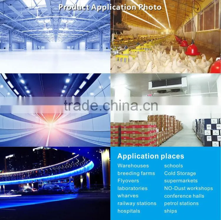 Corrosion-proof 120lm/w outdoor t8 led batten fittings 40w for boat lighting