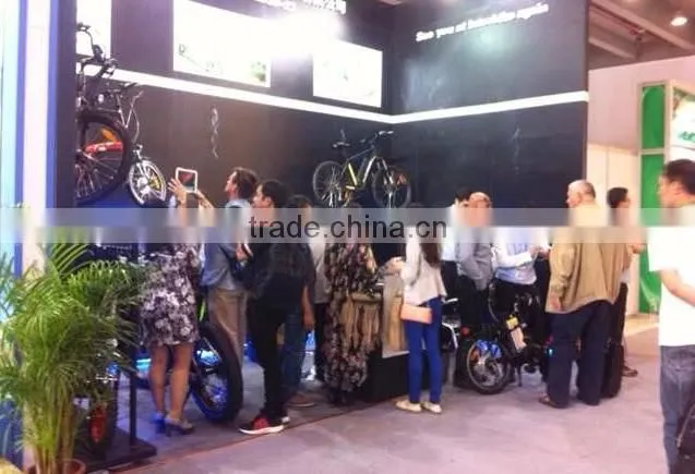 City E-BIKE With 26 inch tyre, 2014 new modle