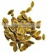 100% Pure Dill Oil BP