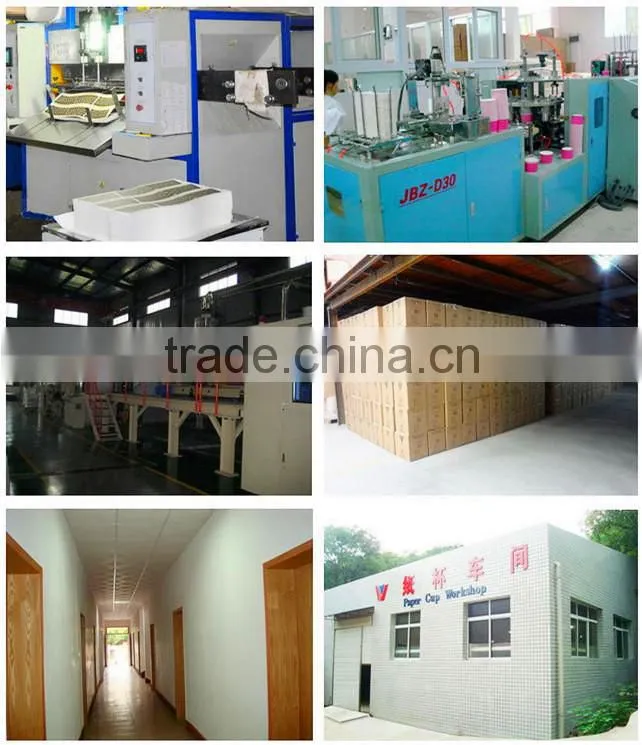 300ml PP plastic cup