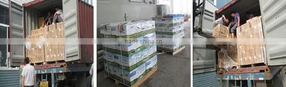solar street led light