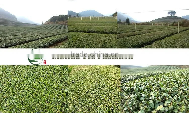 2016 Best Selling Products Detox Matcha Tea Hot Selling In Japanese