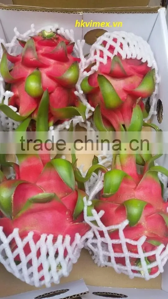 DRAGON FRUIT