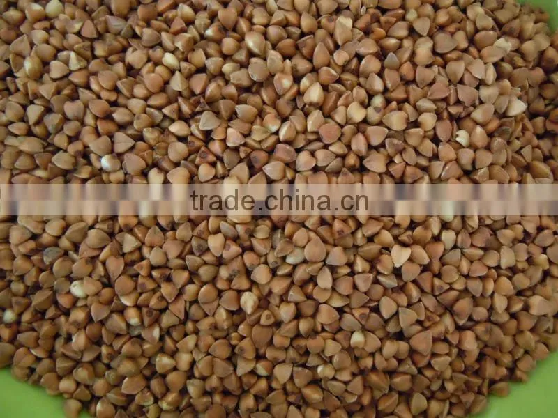 Roasted Buckwheat Kernel New Crop 2011