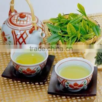 Chiese Green Reduce Fat Tea Dropship Good Quality Tea