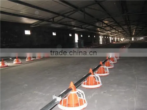 Meat chicken poultry feeding line