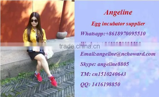 HHD YZITE-6 352 eggs used chicken egg incubator for sale