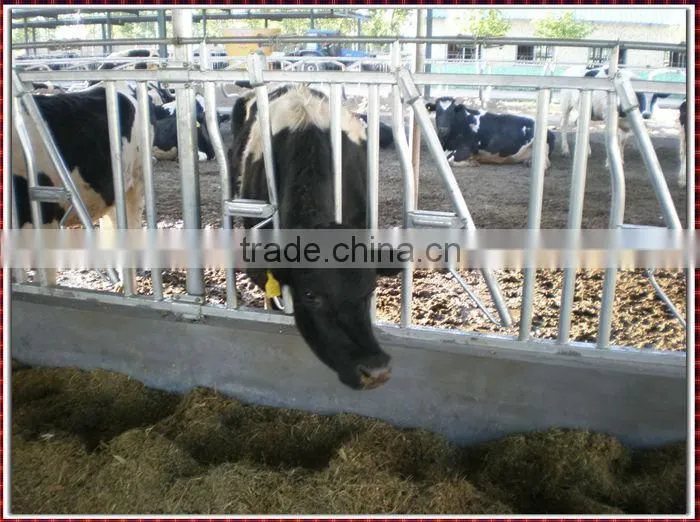 Hot dip galvanized cattle fence